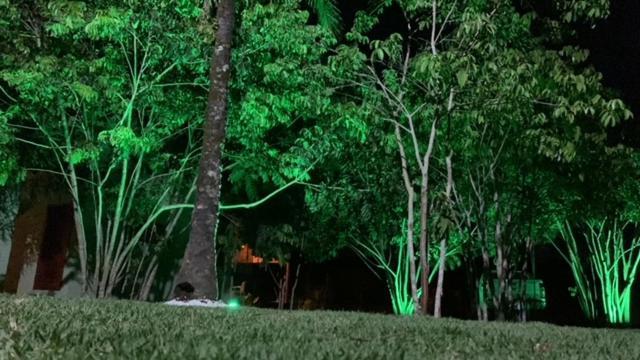 Bons Ventos Camping E Glamping Barra Grande  Eksteriør billede