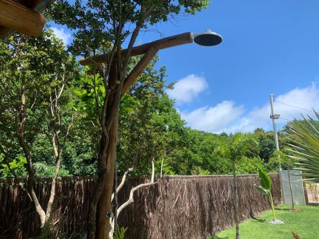 Bons Ventos Camping E Glamping Barra Grande  Eksteriør billede
